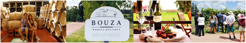 Visita a Bodegas Turisticas en Uruguay