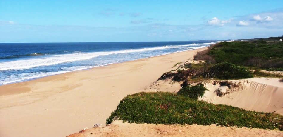 Dicas de praias em 