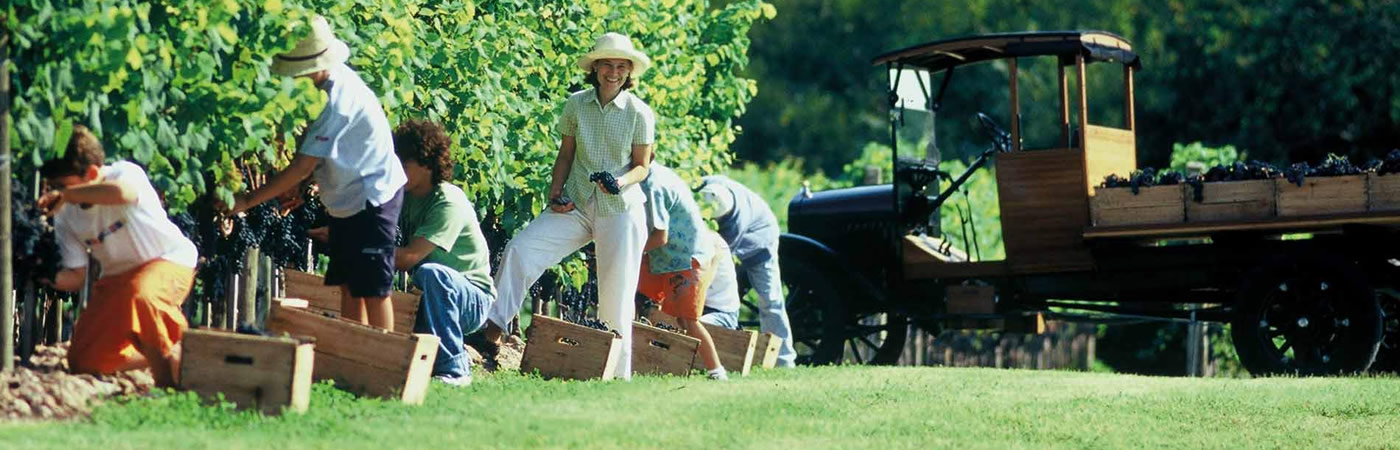 Visitas a Bodega Bouza