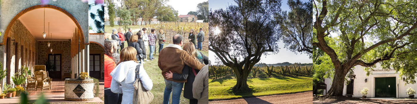 Vivi Uruguay en Bodegas de Canelones, Enoturismo en Uruguay