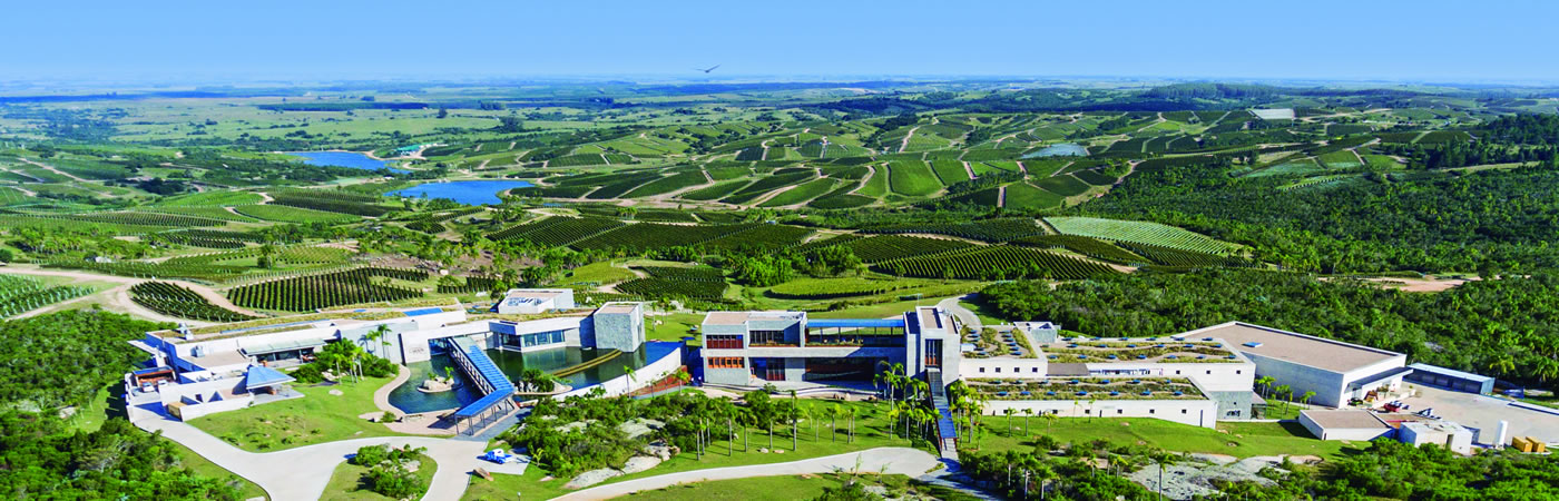 Bodega Garzón, Enoturismo en uruguay