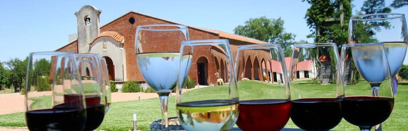 Visita Bodega Turística Bouza, Uruguay