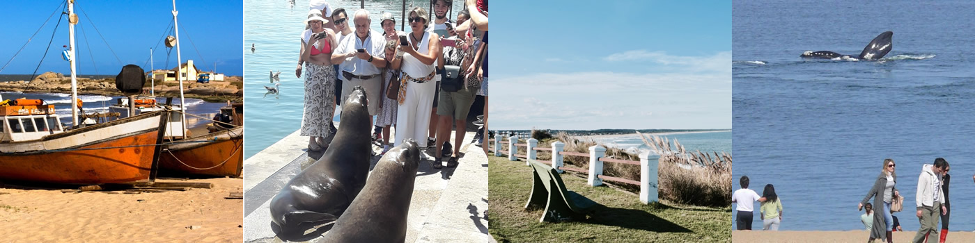 Turismo en Zona Este - Viví Uruguay